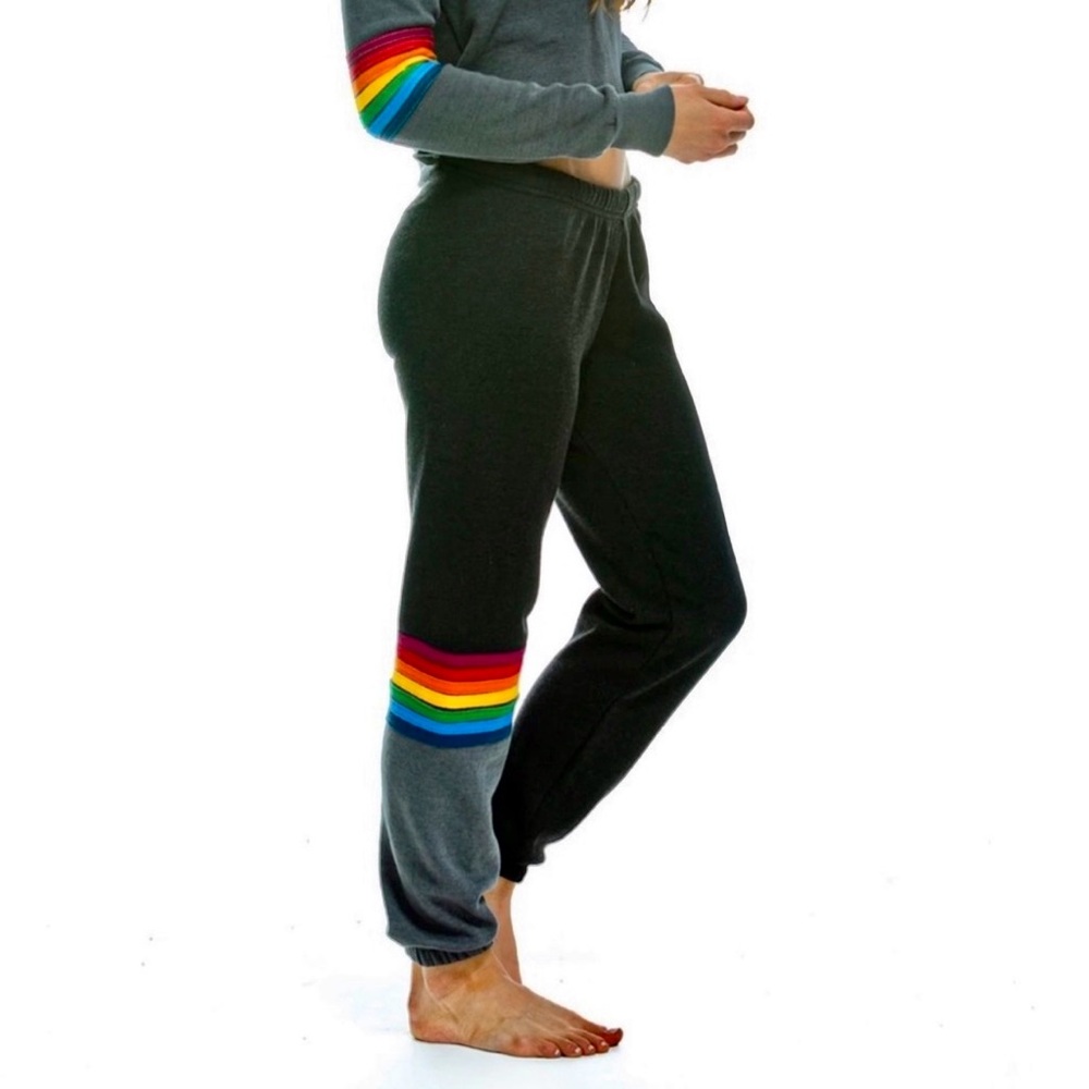 Rainbow Stitch Sweatpants In Charcoal/Gray - Aviator Nation